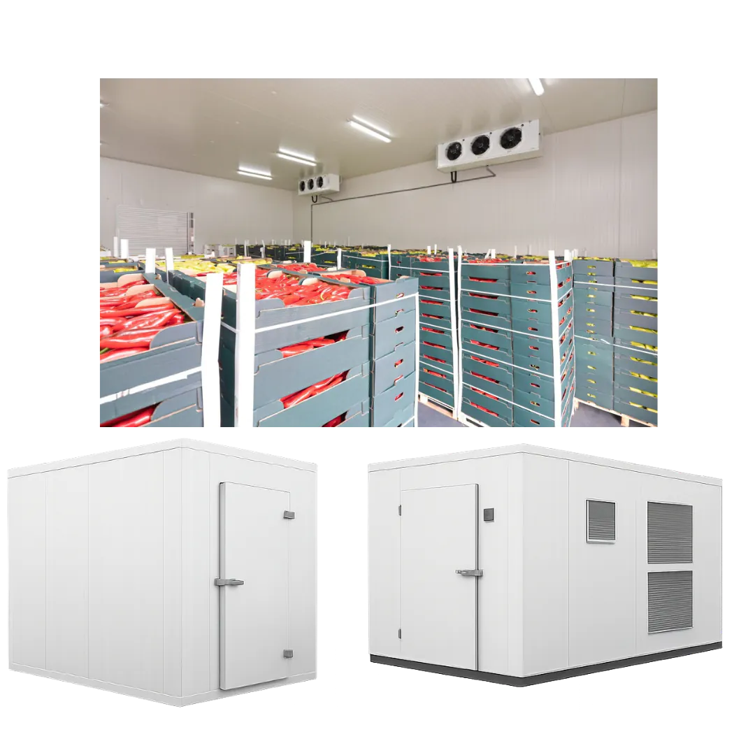 cold storage solutions